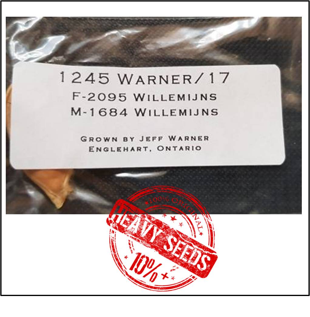 1245 Warner 2017 (564,7 kg)