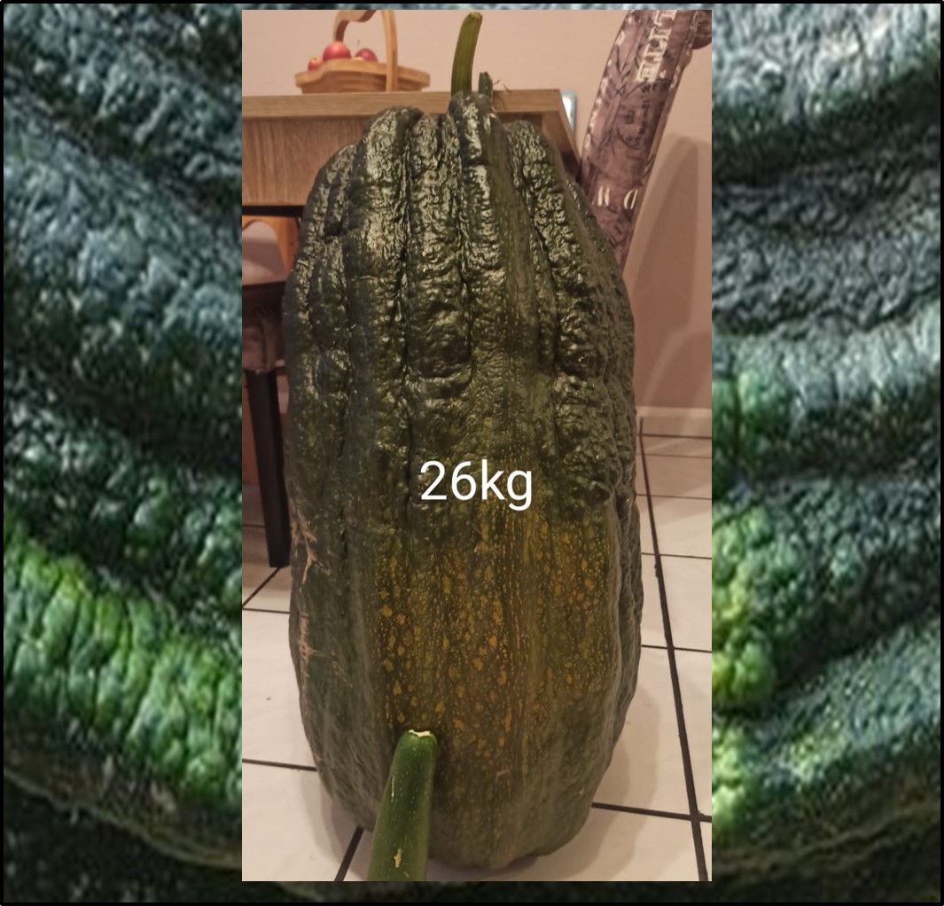 57.32 Grendel 2021 (26kg) 2 seeds