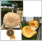 1135.4 Richter 2022 (515kg)