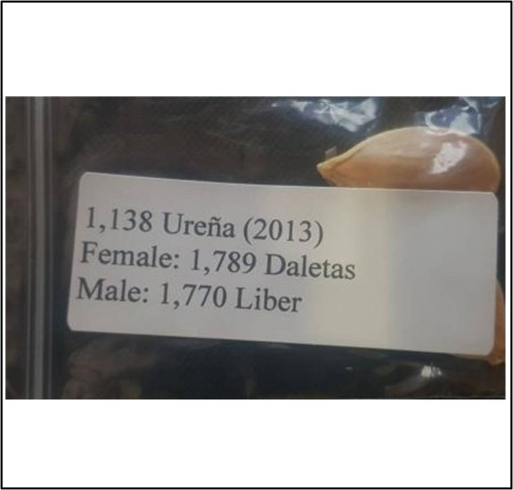 1138 Urena 2013 (516,1kg) - zum Schließen ins Bild klicken