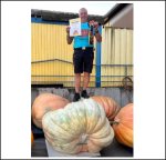 1147.5 B.Paul 2023 (520,5kg) 1 Kern