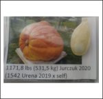 1171.8 Jurczuk 2020 (531,5kg) 1 Kern