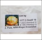 1177.3 Göll 2019 (534kg)