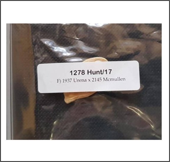 1278 Hunt 2017 (579,6kg) - zum Schließen ins Bild klicken