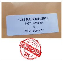 1283 Kilburn 2018 (581,9kg)