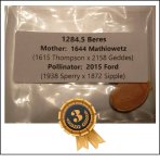 1284.5 Beres 2021 (582,6kg)