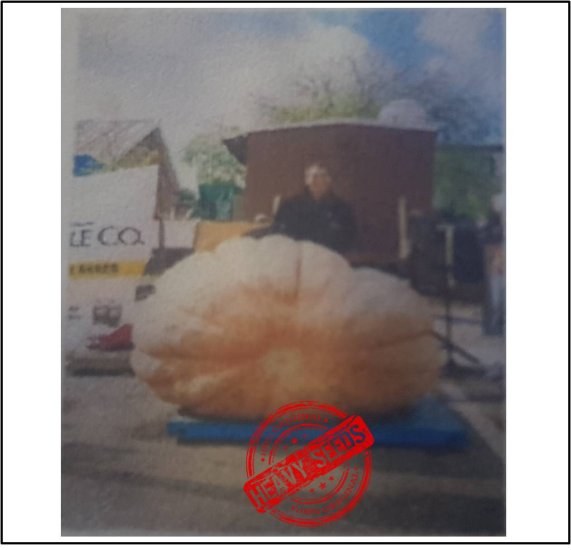 1293 Bhaskaran 2009 (586,5kg) - zum Schließen ins Bild klicken