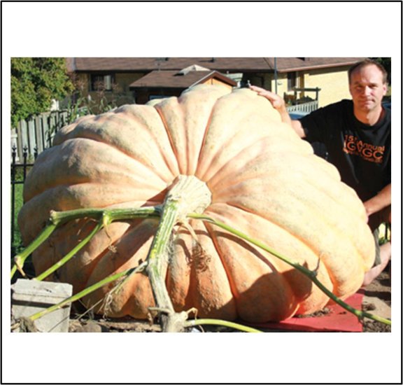1320.5 Aasman 2013 (599kg) - zum Schließen ins Bild klicken