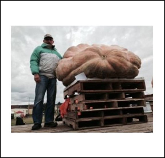 1411.6 Dettweiler 2014 (640,2kg) - zum Schließen ins Bild klicken