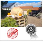 1415.4 M.Adel 2024 (642kg)