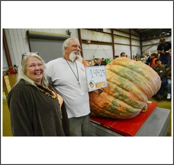 1442.5 Hoomis 2013 (654.3kg) [144252013] - 6,90 € - Pumpkinollis