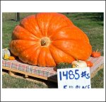 1485 Sestak 2023 (673,5kg)