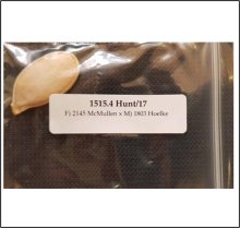 1515.4 Hunt 2017 (687,3kg)