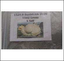 1528.9 Danielcyk 2020 (693,5kg)