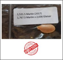 1531.5 Martin 2017 (694,6kg)