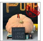 1542 Urena 2019 (699,4kg)