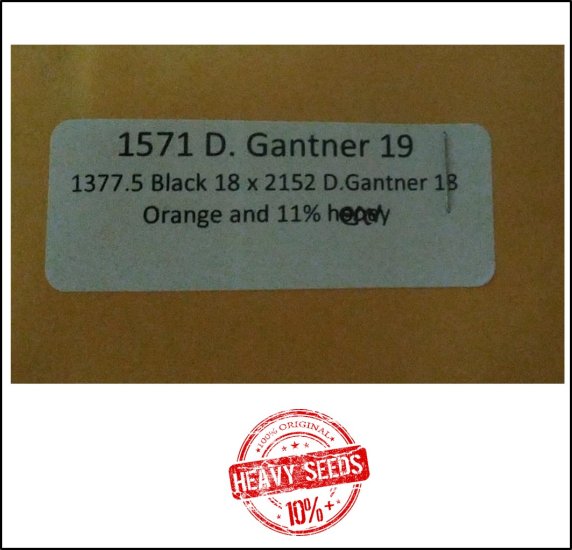 1571 D.Gantner 2019 (712,5kg) - zum Schließen ins Bild klicken