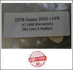 1578 Zappa 2020 (715,7kg)