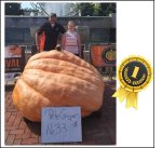 1633 Caspers 2022 (740,7kg) 1633 Caspers 2022 (740,7kg)