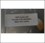 1805 Urena 2020 (818,7kg) 1805 Urena 2020 (818,7kg)