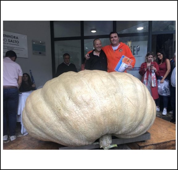 1819 Mendi 2019 (825kg) - zum Schließen ins Bild klicken