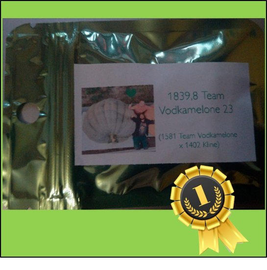 1839.8* Team Vodkamelone 2023 (834,5kg) - zum Schließen ins Bild klicken