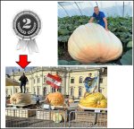 1845.3 Grafe 2025 (837kg)