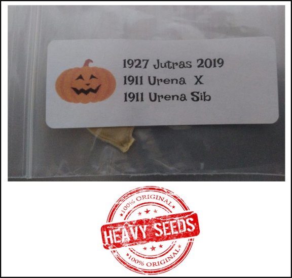 1927 Jutras 2019 (874kg) - zum Schließen ins Bild klicken
