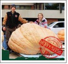 1963.5 Stevens 2018 (890,5kg)