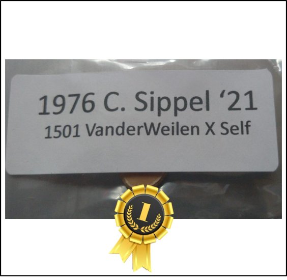 1976 C.Sippel 2021 (896,3kg) - zum Schließen ins Bild klicken