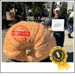 2021 Hoornstra 2024 (916,7kg) 2021 Hoornstra 2024 (916,7kg)