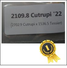 2109.8 Cutrupi 2022 (957kg)