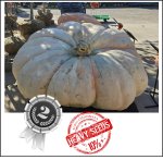 2115 Barron 2025 (959,3kg)