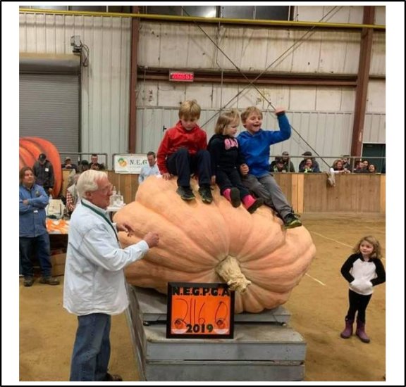 2116 Lancaster 2019 (959,8kg) - zum Schließen ins Bild klicken