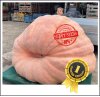 2124.2 Würsching 2024 (963,5kg)