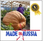 2136.3 Chusov 2025 (969kg)