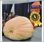 2137 Crews 2024 (969,3kg) 2137 Crews 2024 (969,3kg)