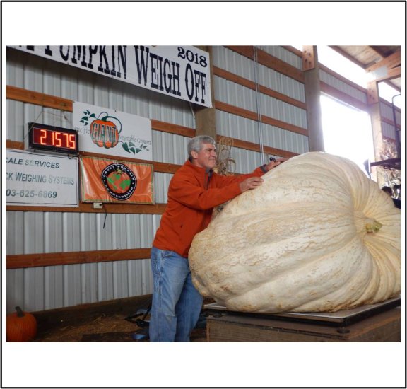 2157.5 Daletas 2018 (978,6kg) - zum Schließen ins Bild klicken