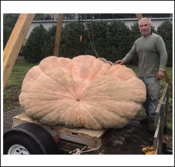 2169.5 Vincent.G 2019 (984kg) - zum Schließen ins Bild klicken