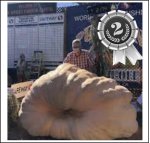 2174 Daletas 2020 (986kg) 2174 Daletas 2020 (986kg)