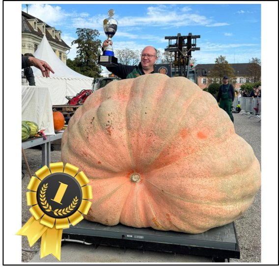 2215.6 Würsching 2024 (1005kg) - zum Schließen ins Bild klicken