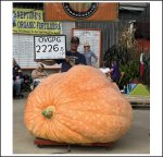 2226.5 Hoornstra 2024 (1010kg)