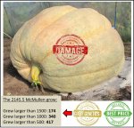 2226.7 H.Boonen 2018 (1010kg)