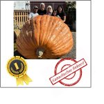 2252.5 Chan 2024 (1021,7kg)