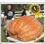 2276 Lieber 2020 (1032,5kg)