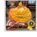 2281.3 Team PaScha 2025 (1035kg)