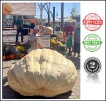 2419 Jacobus 2024 (1097,2kg)