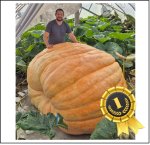 2459.9 H.Olsen 2024 (1115.8kg)