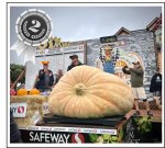 2465 Dawson 2024 (1118.1kg)