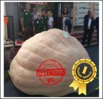 2610.3 Petrelli 2023 (1184kg)